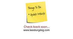 Desktop Screenshot of leesburgdog.com